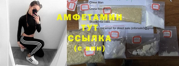 гидра Елизово