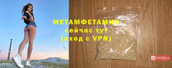 гидра Елизово