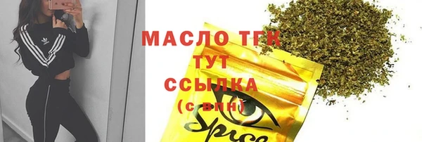 гидра Елизово