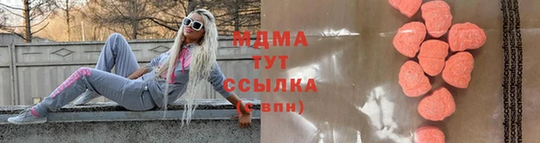 гидра Елизово