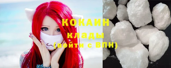 гидра Елизово