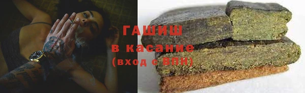 гидра Елизово