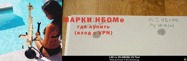 гидра Елизово