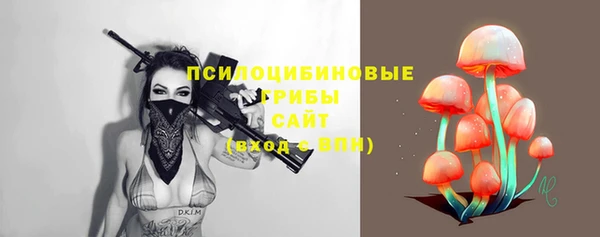 гидра Елизово