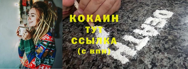 mdpv Ельня