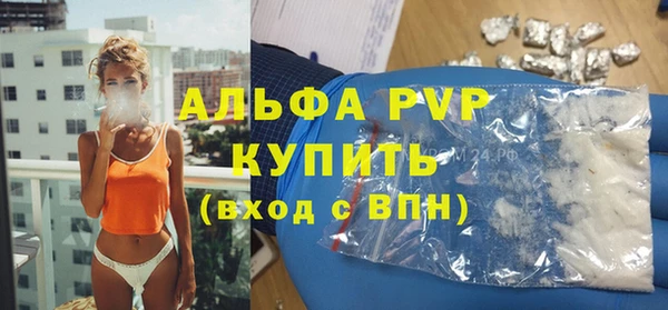 гидра Елизово