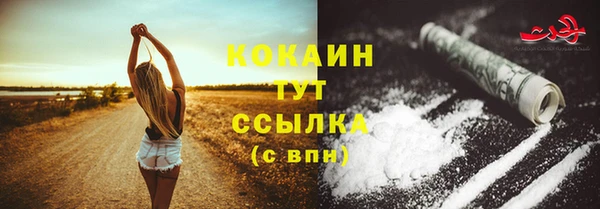 гидра Елизово